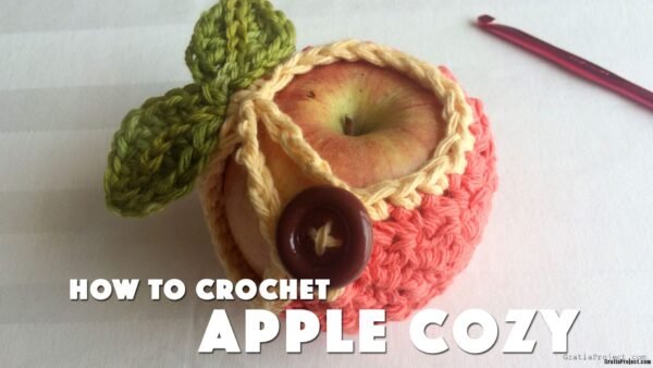 how-to-crochet-apple-cozy