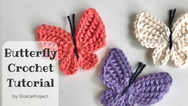 Butterfly Crochet Tutorial | Tunisian Butterfly Applique